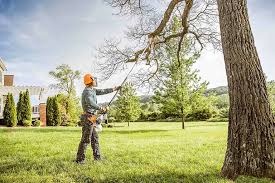 Best Pest Control for Lawns  in Plainview, TX