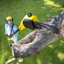 Lawn Irrigation Installation and Maintenance in Plainview, TX